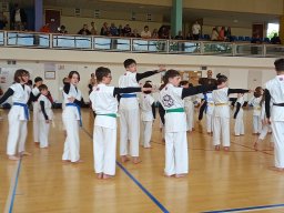 Chanbara - Championnat de Bretagne 2024