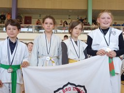Chanbara - Championnat de Bretagne 2024