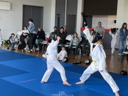 Tournoi de Printemps 2025